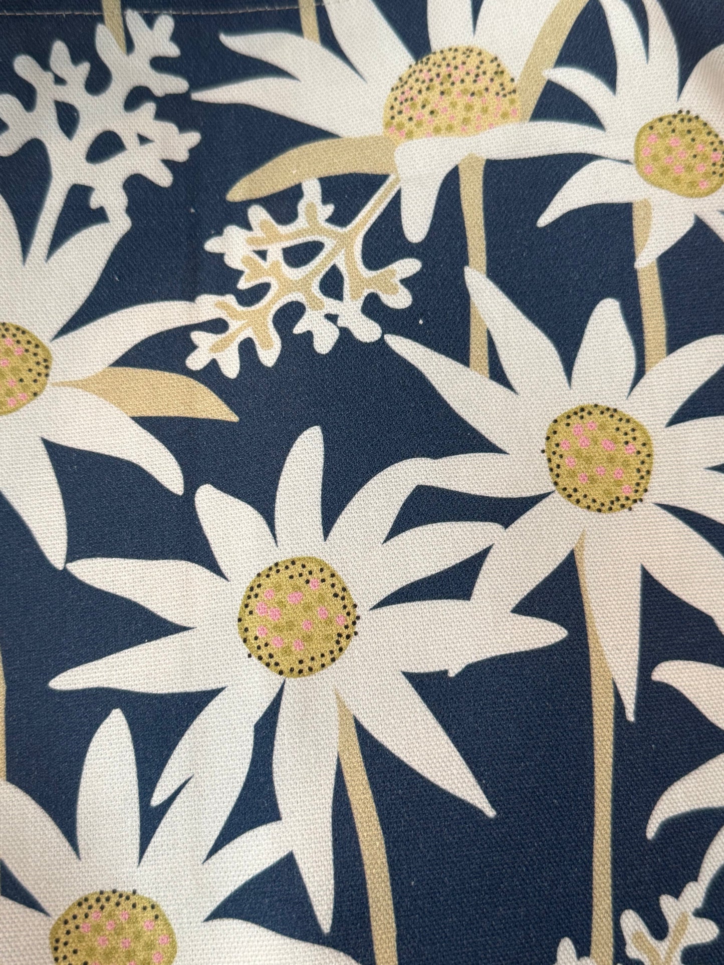 Blue Flannel Flower Gardeners