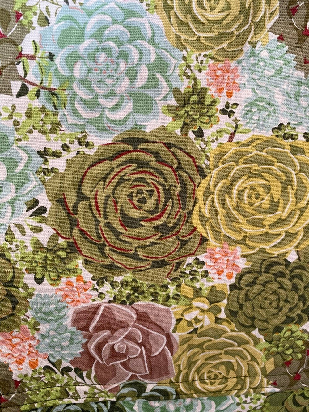 Kitchen Apron Succulents