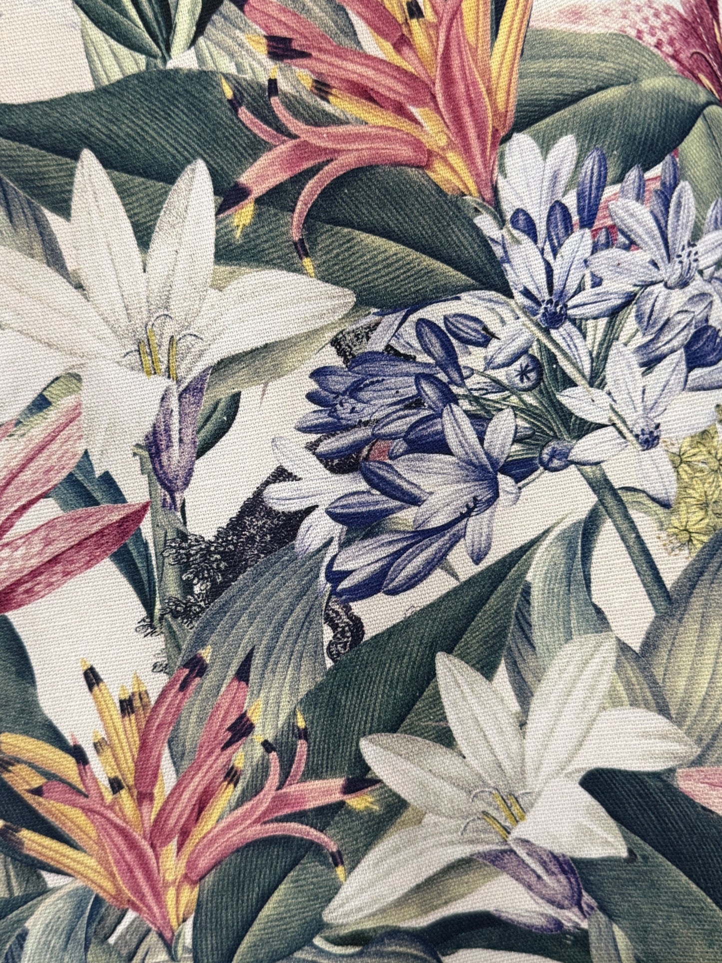 Vibrant Agapanthus fabric