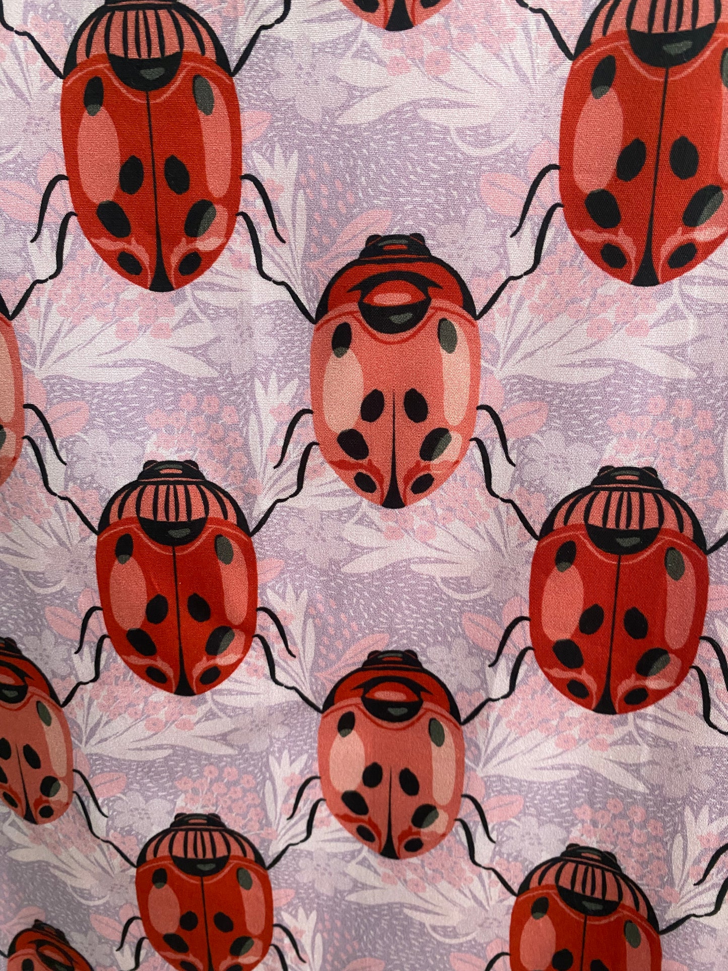 Wrap Around Ladybug