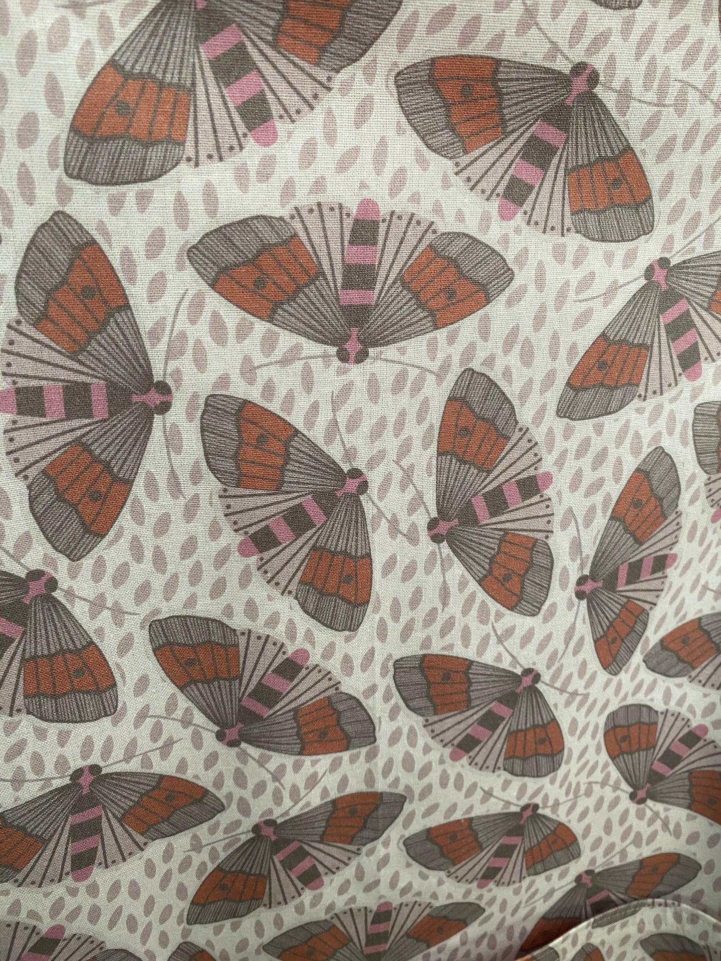 Wrap Around Moths