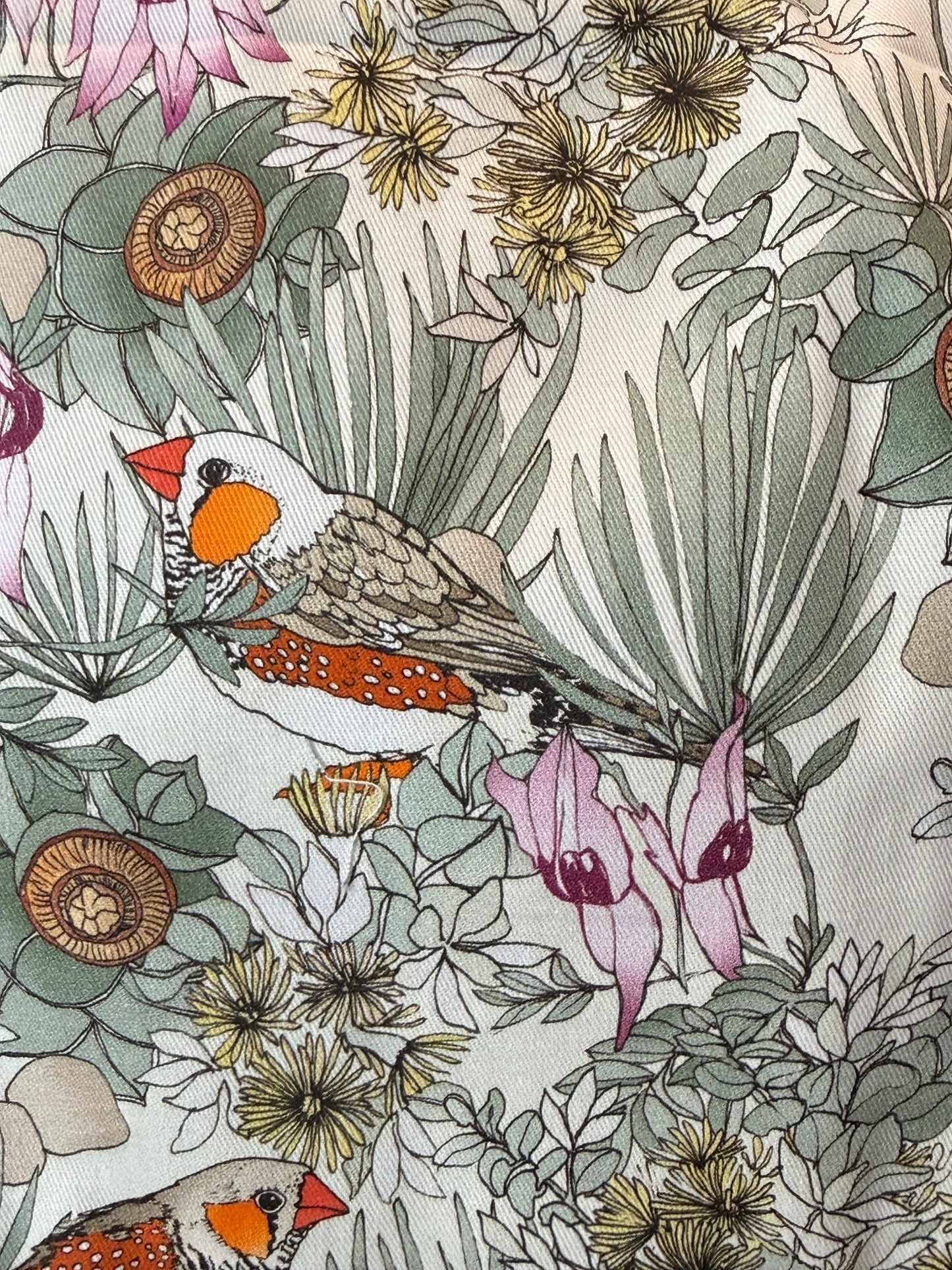 Zebra Finch Gardeners