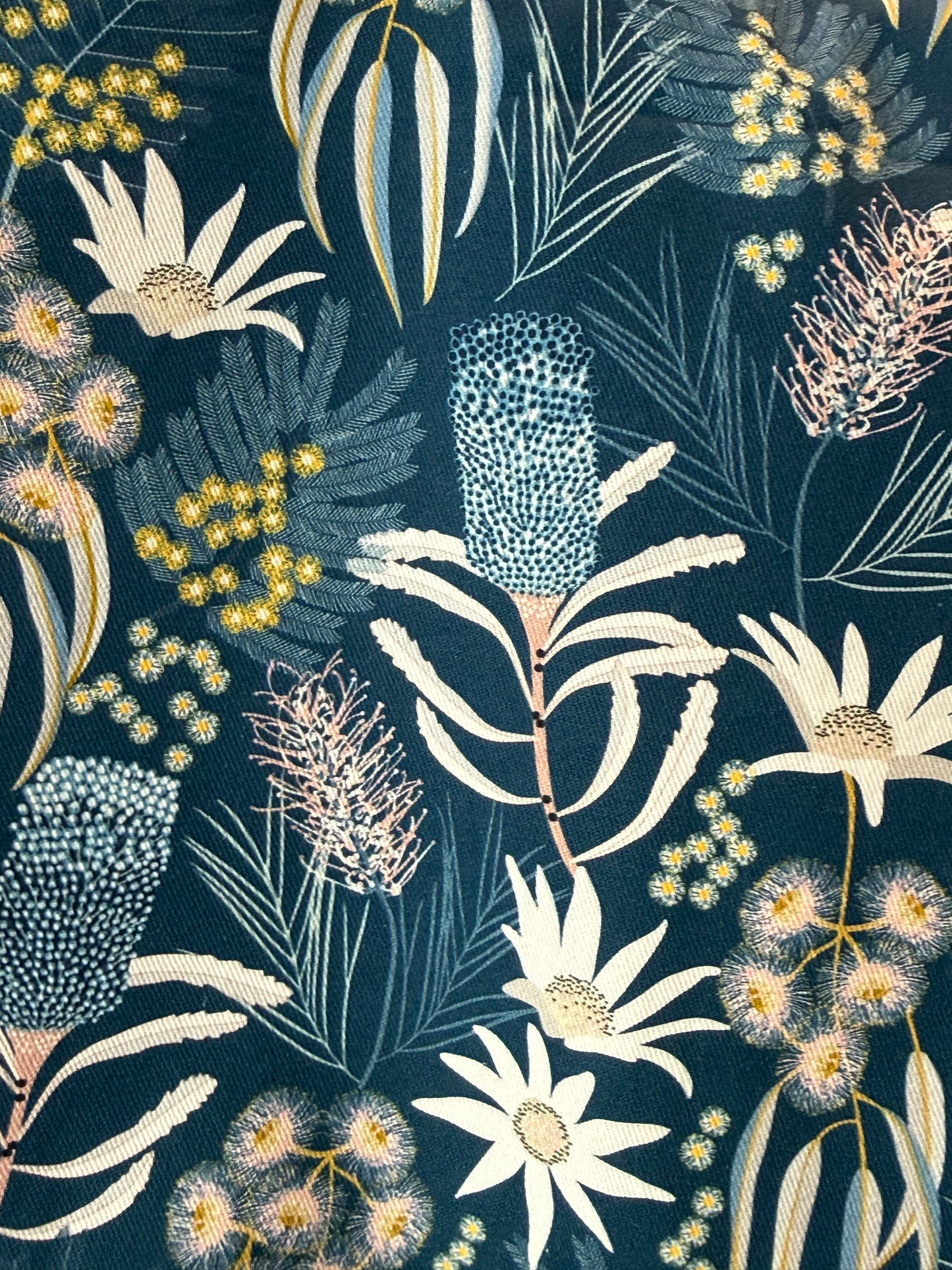 Banksia Flannel Flower Gardeners